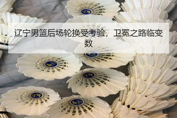 辽宁男篮后场轮换受考验，卫冕之路临变数